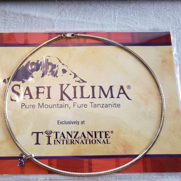 HOST PICK. NIP. Tanzanite Trillion Cut .40 ctw Stone Pendant on Omega Necklace - Picture 2 of 3